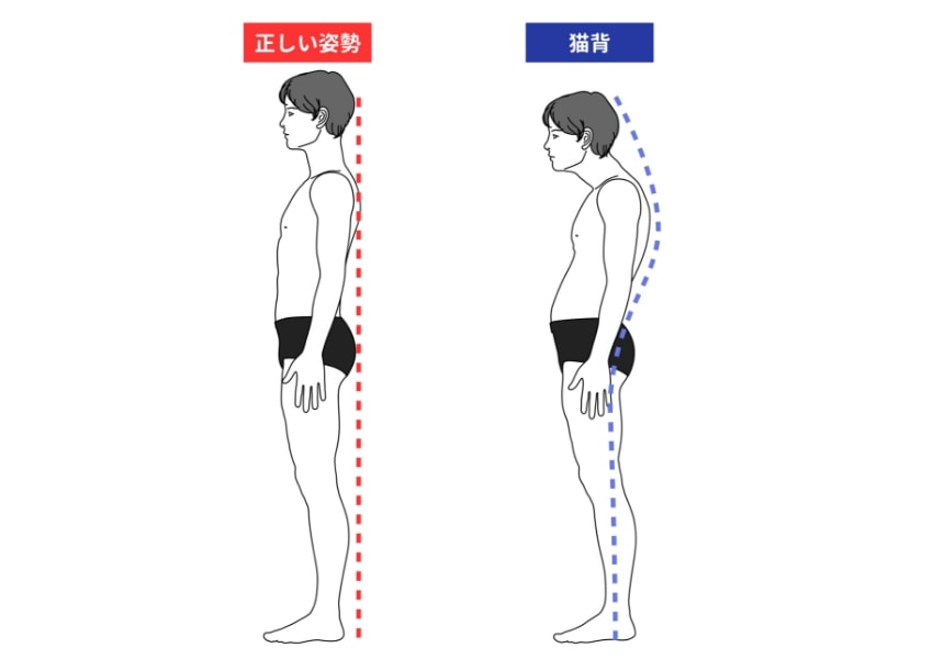 猫背と正しい姿勢の違い