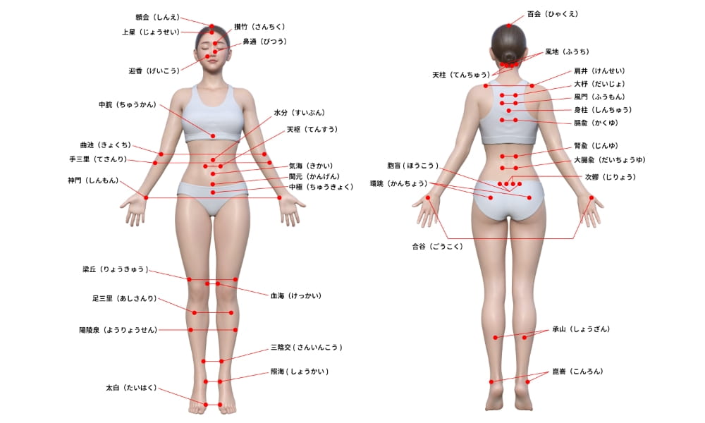 全身のツボ